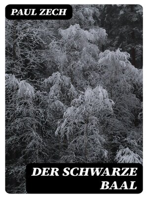 cover image of Der schwarze Baal